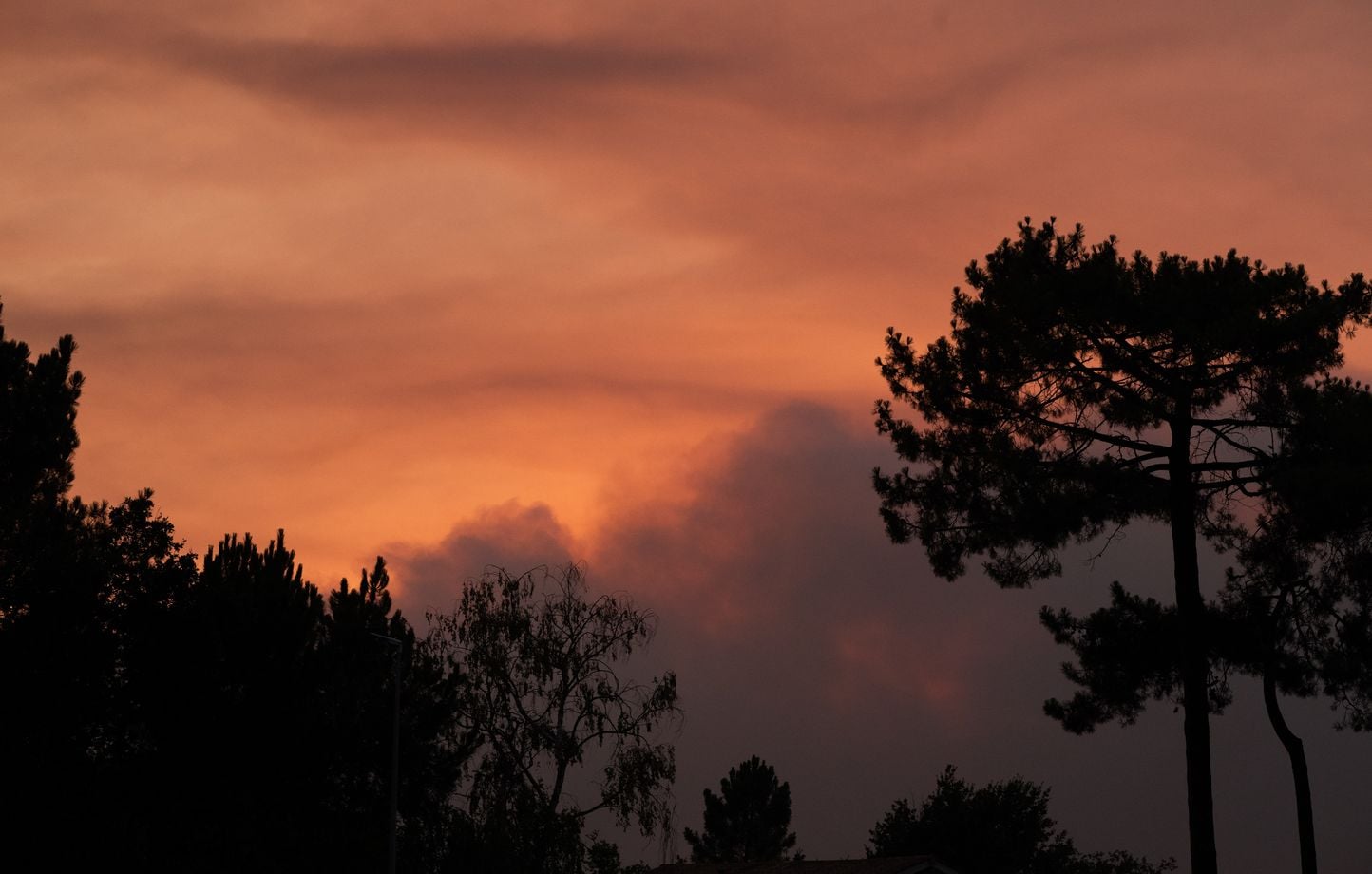 ¿Cómo nacen las nubes pirocumulonimbus, apodadas “tormentas de fuego”? ¿Cómo nacen las nubes pirocumulonimbus, apodadas “tormentas de fuego”?